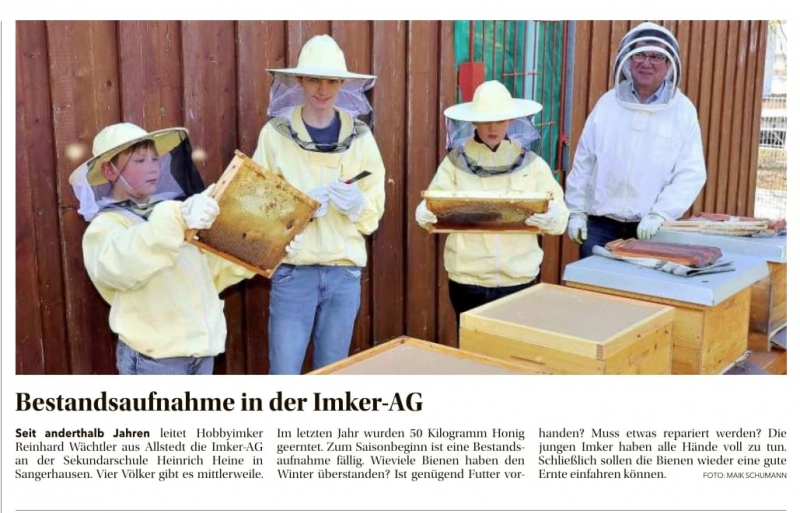 heine_bienen.jpg